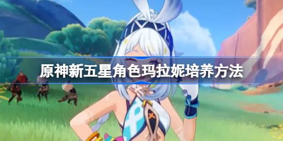 《原神》玛拉妮玩法攻略：从新手到巅峰