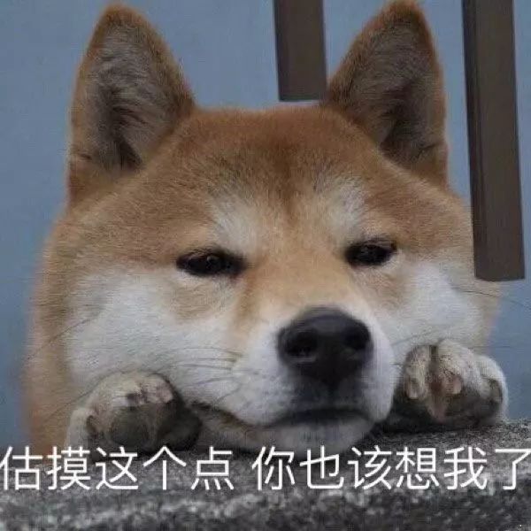 精彩回顾：首次4V4开黑直播体验，不容错过！