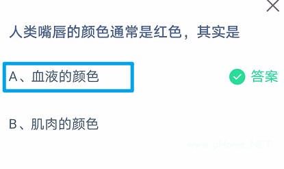 小鸡庄园11月13日版本最新答题攻略汇总