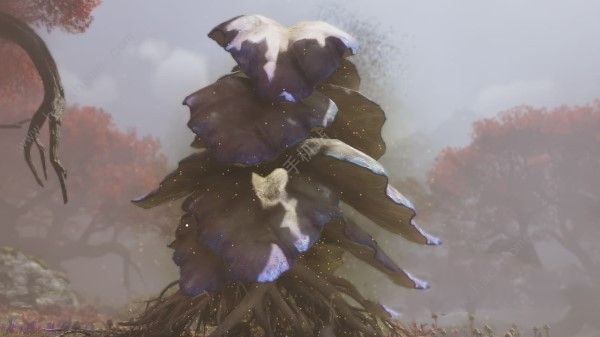 阿凡达：潘多拉 边境菌丝网络探索指南