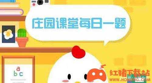 学习励志！揭秘“凿壁偷光”背后的精彩故事