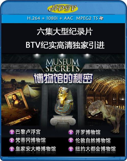 《博物馆之谜第一季》高清下载，揭秘秘宝传奇与神秘谜团的探奇之旅