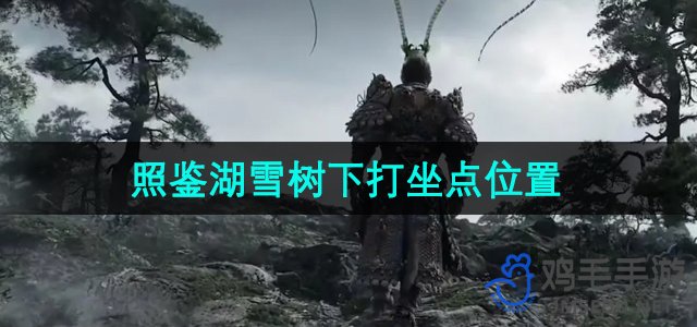 《探寻《黑神话悟空》中的照镜湖雪树下的打坐地点》